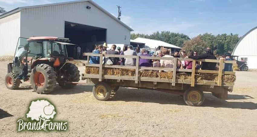 Family activities at Brand Farms