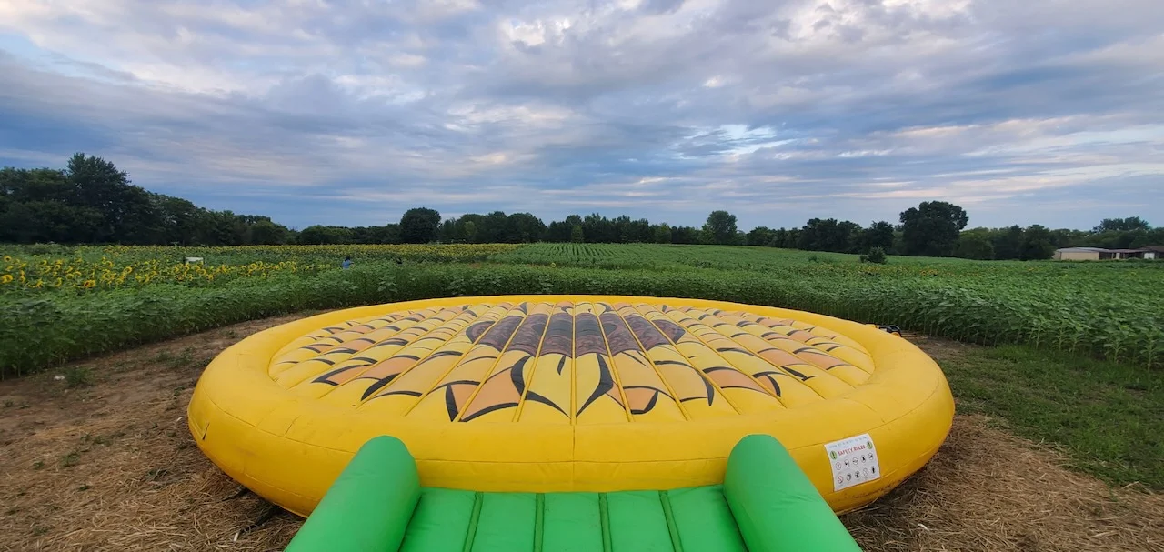 Giant Bounce Pads