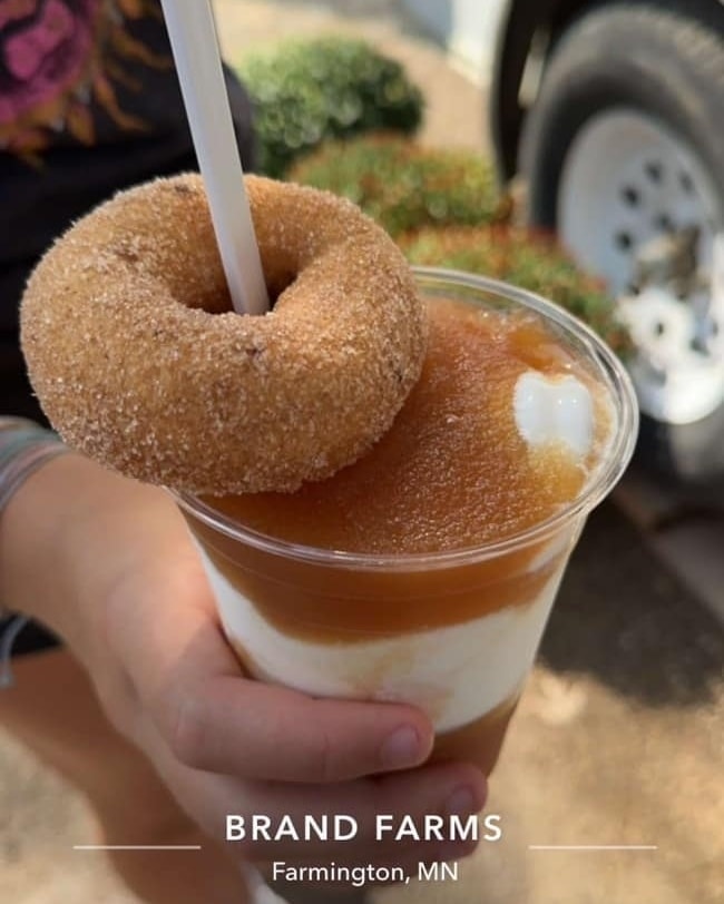 Apple Donuts